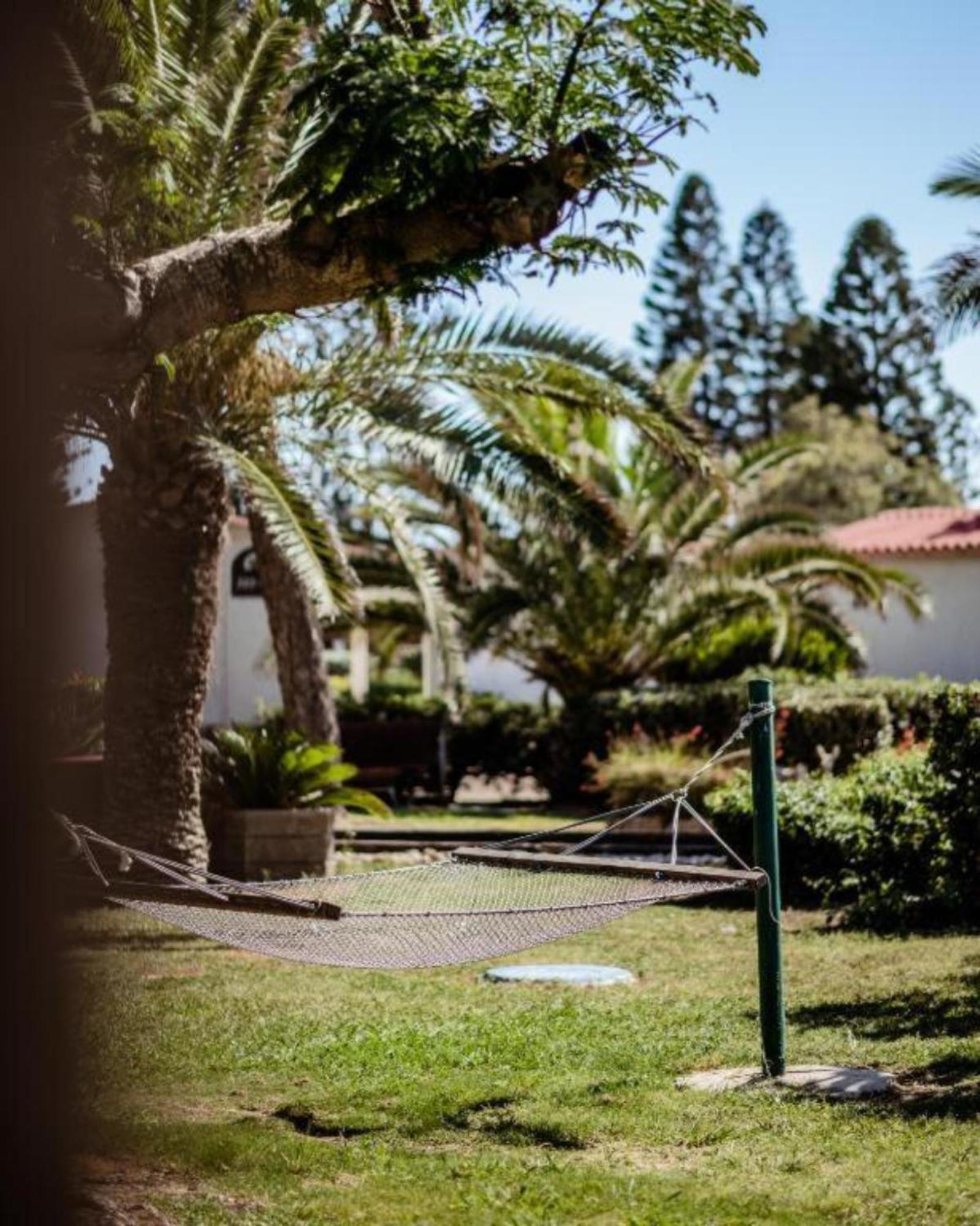 Nachsholim Kibbutz Country Lodging Nahsholim Eksteriør billede
